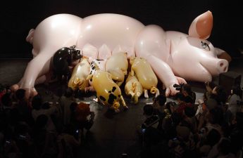 A giant latex pig lies on its side being suckled by smaller latex piggies.
