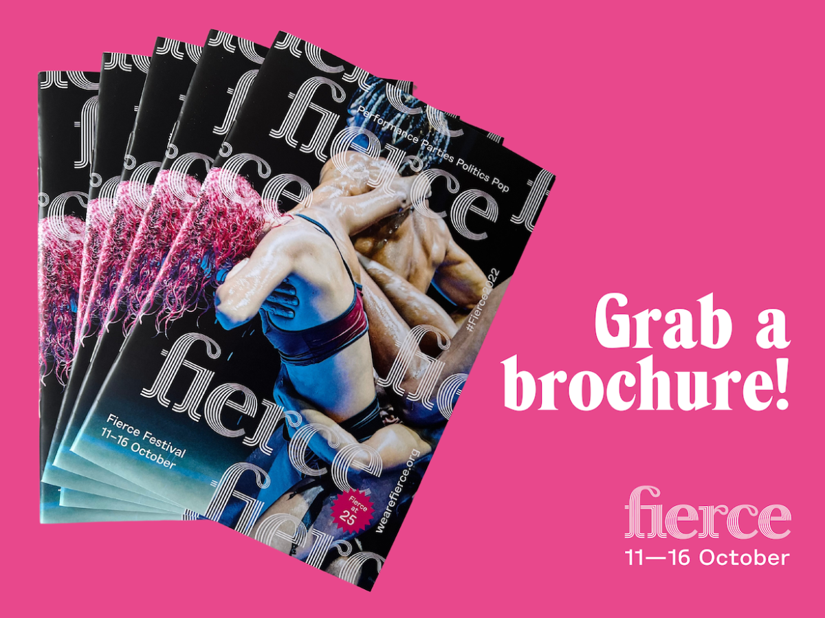 Grab a Festival Brochure